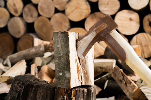 istock Hatchet Ax and Pile of Split Wood Logs for Fire, 1427487569