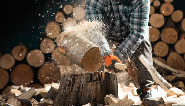 istock Hand and axe in firewood, 1427488303