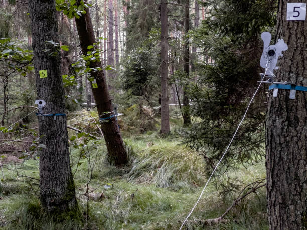 mistrzostwa polski w strzelectwie pneumatycznym w kaletach. polish open 2022. stanowiska strzeleckie z celami umieszczonymi na dzwonach w lesie. - air rifle zdjęcia i obrazy z banku zdjęć