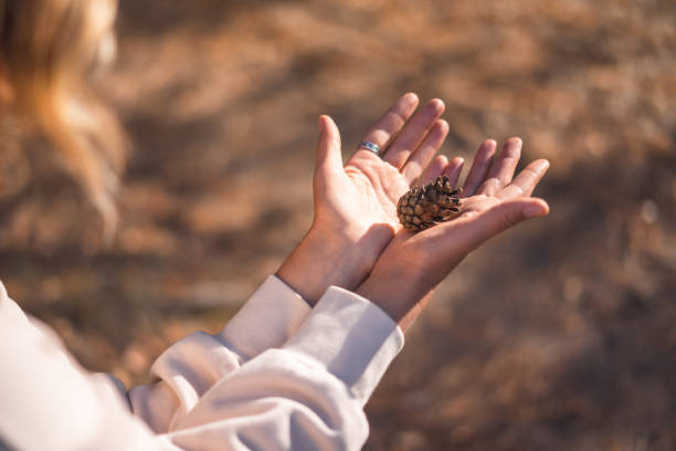 young woman collecting pine cones in a forest park