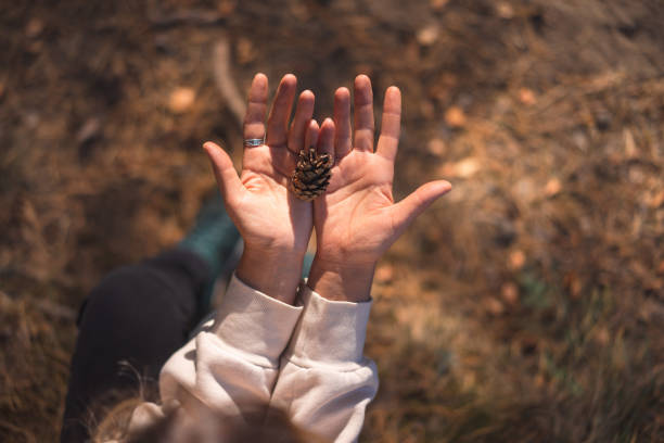 young woman collecting pine cones in a forest park