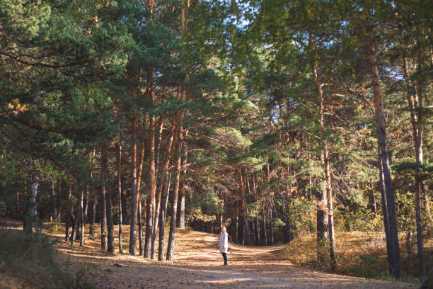 istock young woman in a pine forest 1427493134