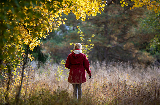 Woman walks outside on a forest path in autumn