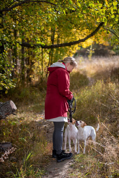 istock Woman walks outdoor on a forest path in autumn 1427493375