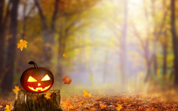 istock Funny  pumpkin on old tree stump  in autumn fall forest. 1427495862