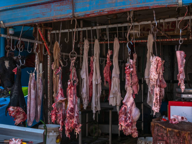 fleisch von kühen an haken auf dem bauernmarkt. tötung von tieren. - dead animal butcher meat sheep stock-fotos und bilder
