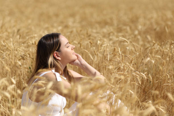 istock Woman resting in a golden wheat field 1427502348