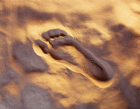 Foot print in the sand on the beach at sunset time