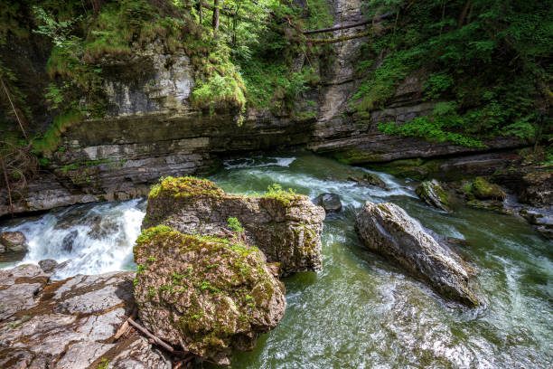 River River Breitach with big rocks in a gorge at Breitachklamm, Germany breitachklamm stock pictures, royalty-free photos & images