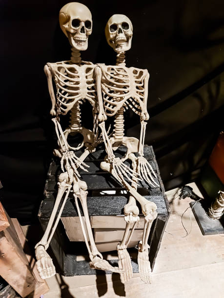 istock Halloween, bacon ghost, scary, skeleton sitting on a wooden box 1427505536