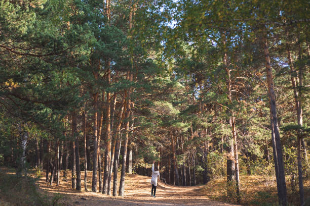 istock young woman in a pine forest 1427506167