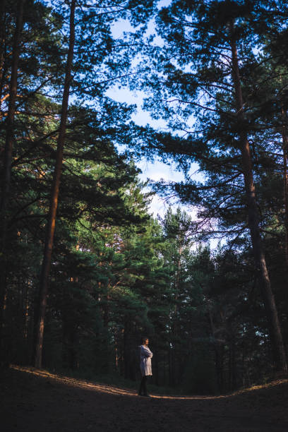 istock young woman in a pine forest 1427506214