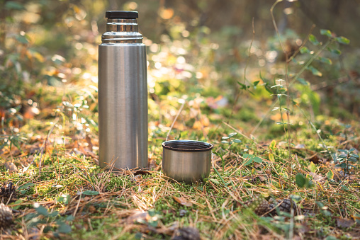 pouring tea from thermos  in a pine forest