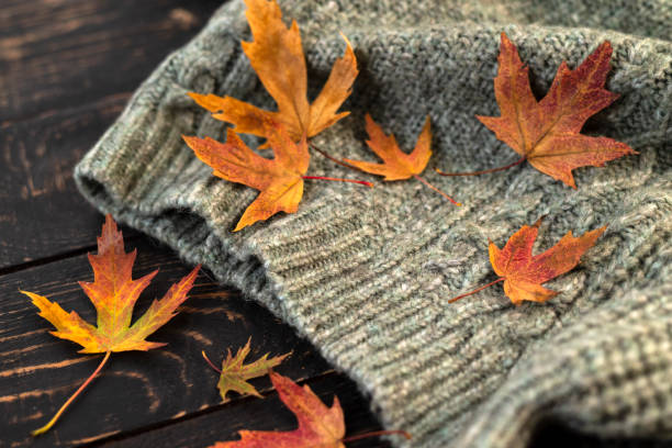 istock Autumn composition. Knitted plaid or scarf and fallen leaves on dark grey background. Hello Autumn, Cozy atmosphere. Flat lay, copy space. 1427511108