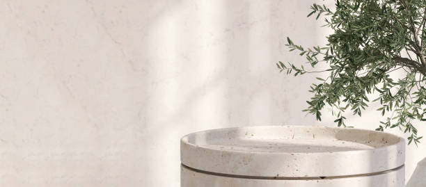istock Elegant white round stone pedestal table and Asian tropical tree with sunlight from window on marble wall 1427512185