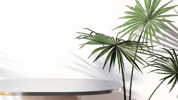 istock Elegant black round shiny pedestal table and tropical palm tree with sunlight and leaf shadow on white wall 1427512215