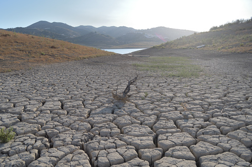 Walking through cracked dry land in the shore of a lake at sunset