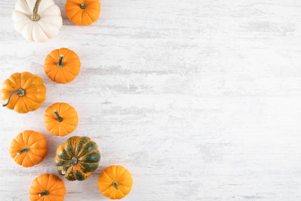 istock Autumn and Holiday Background 1427516933