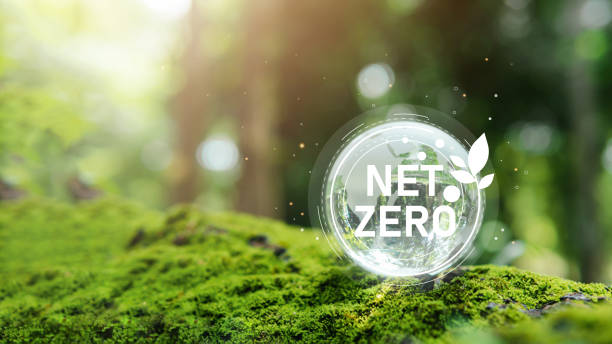 Carbon neutral and net zero concept natural environment A climate-neutral long-term strategy greenhouse gas emissions targets Globe globe with green net center icon. Carbon neutral and net zero concept natural environment A climate-neutral long-term strategy greenhouse gas emissions targets Globe globe with green net center icon. carbon neutrality stock pictures, royalty-free photos & images
