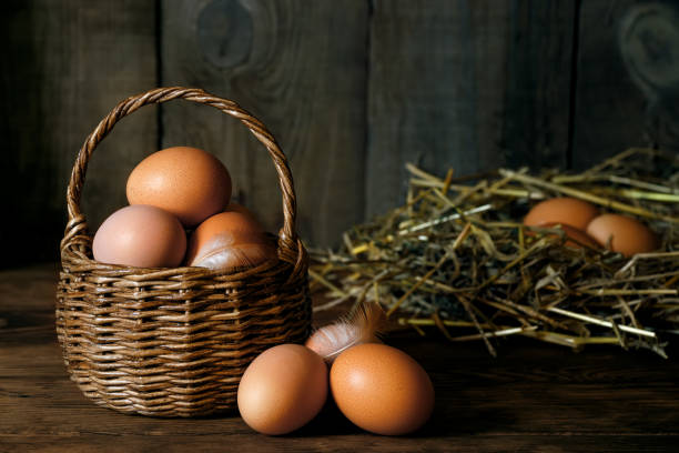 chicken eggs in wicker basket and in nest on wooden background