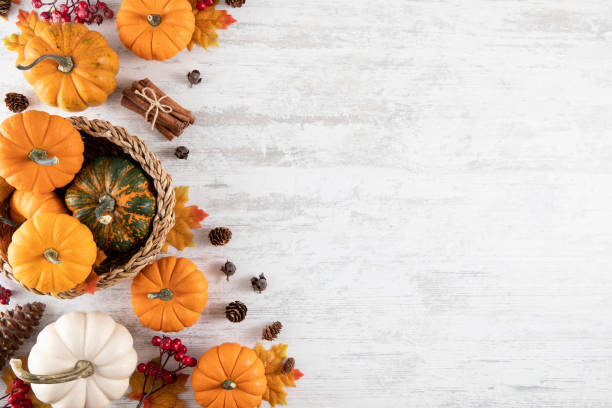 istock Happy Thanksgiving and Autumn Backgrounds 1427517526