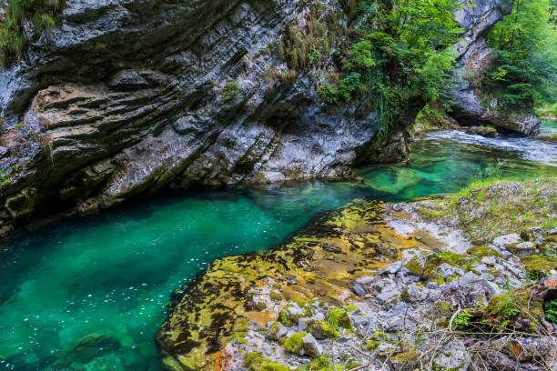 istock Vintgar Gorge River In Slovenia 1427519196