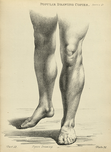 Vintage illustration of Sketching, drawing the human legs, feet, young man, life study, Victorian art figure drawing copies 19th Century