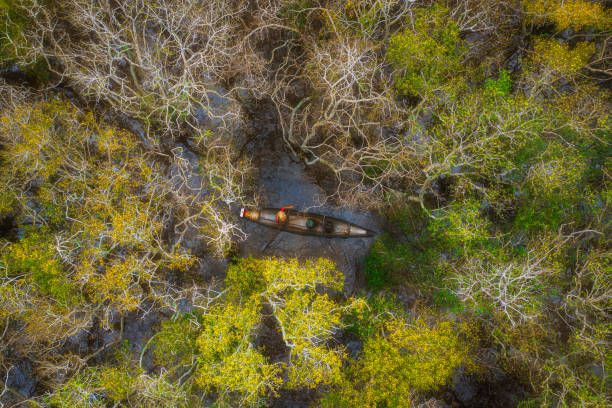 Drone view fisherman in Ru Cha forest - a mangrove forest in leaf changing season - Huong Phong, Huong Tra, Thua Thien Hue province