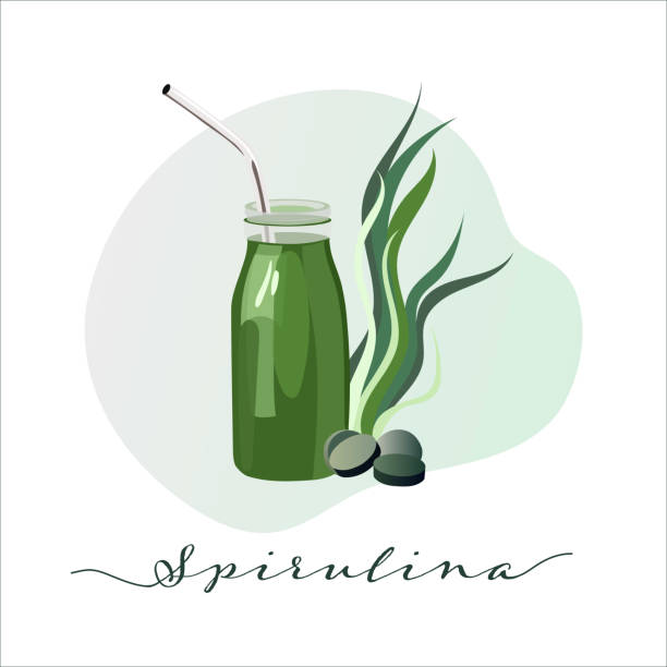 nahrungsergänzungsmittel, spirulina smoothie - chlorophyll green smoothie smoothie vegetable stock-grafiken, -clipart, -cartoons und -symbole