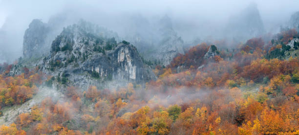 Free Stock Photo of Misty mountain road with vibrant autumn colors ...