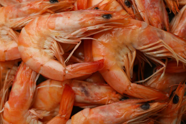 istock Tasty cooked shrimps on whole background, close up 1427528165