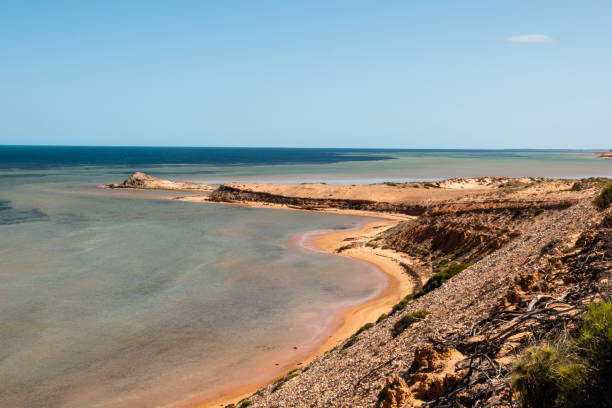 istock Coast of Shark Bay in Australia 1427531321