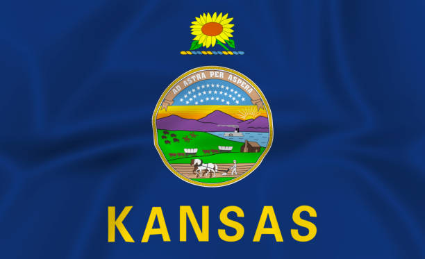 istock Illustration waving state Flag of Kansas 1427531926