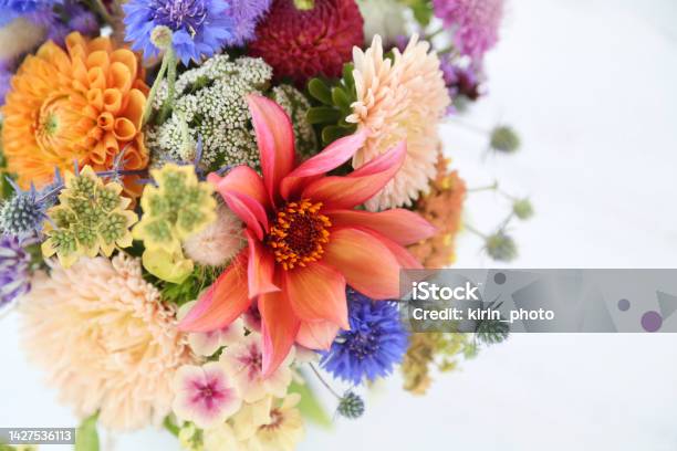Summer Flowers Stock Photo - Download Image Now - Arrangement, Aster, Backgrounds