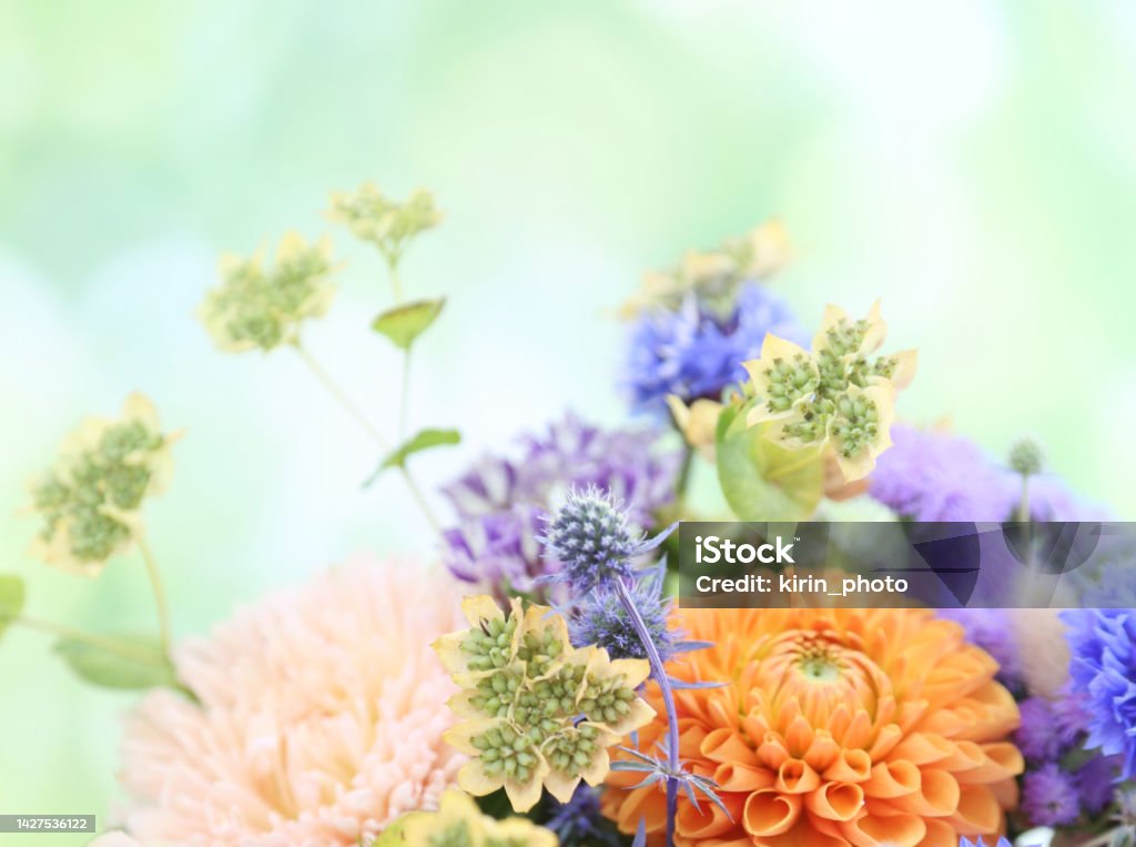 Summer flowers Arrangement Stock Photo