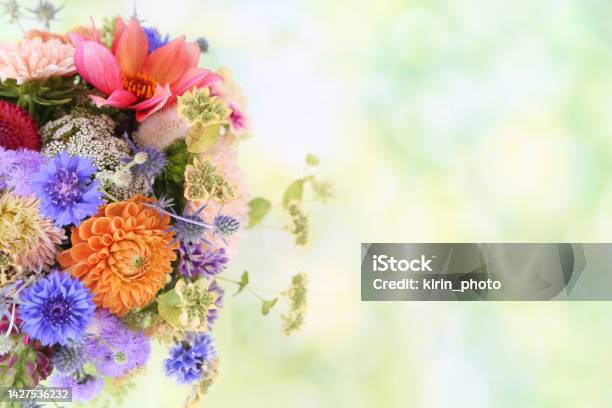 Summer Flowers Stock Photo - Download Image Now - Arrangement, Aster, Backgrounds