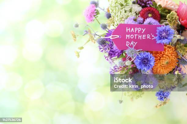 Summer Flowers Stock Photo - Download Image Now - Birthday Card, Arrangement, Aster