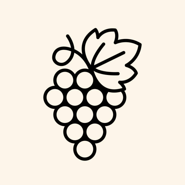 illustrazioni stock, clip art, cartoni animati e icone di tendenza di icona dell'uva. vite con foglia. logo del vino. - red grape