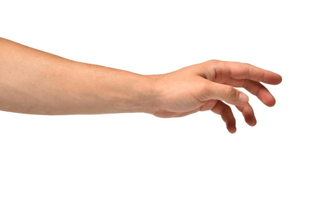 istock Man hand pointing isolated on white background 1427541700