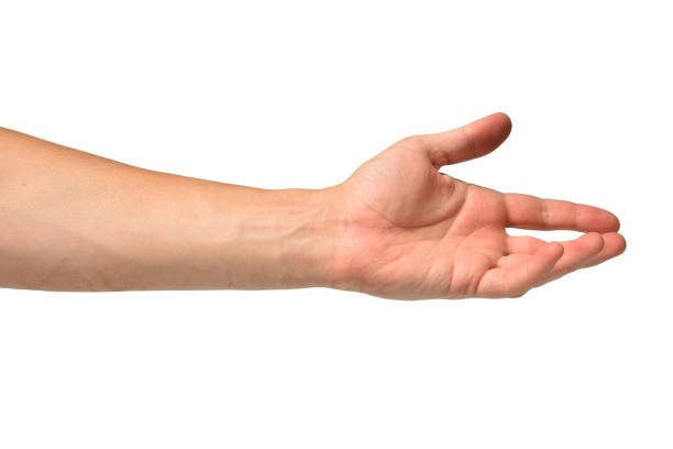 istock Hand of a man take or give gesture 1427541816