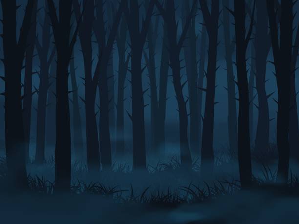 темный туманный лесной пейзаж. абстрактный векторный фон - woods stock illustrations