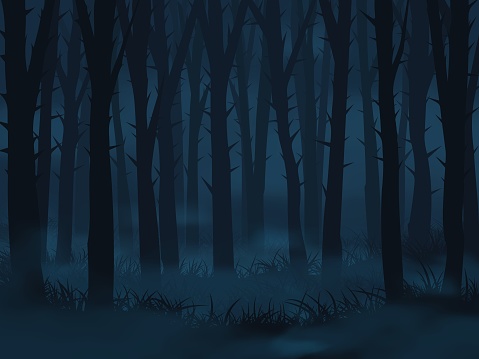 Dark foggy forest landscape. Abstract vector background EPS10
