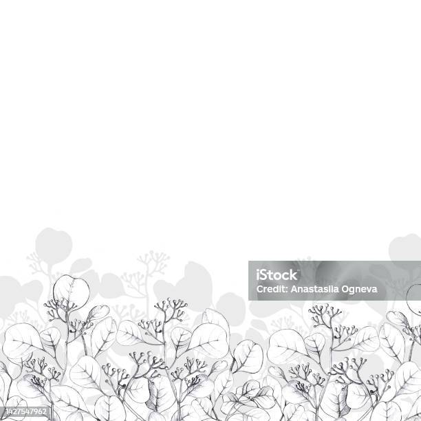 Spring Border Hand Drawing Hand Drawing Flower Border Floral Horizontal Banner With Spring And ...