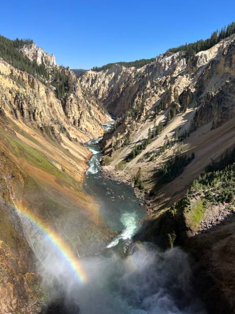 The top of an incredible waterfall in Yellowstone National park The top of an incredible waterfall in Yellowstone National park grand canyon of yellowstone river stock pictures, royalty-free photos & images