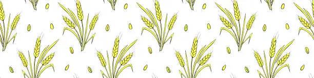 Vector illustration of Wheat spikelets and grains, vector seamless pattern in doodle flat style, isolated. Design of print, wrapping paper, packaging on theme of bakery products, flour, harvest, thanksgiving.