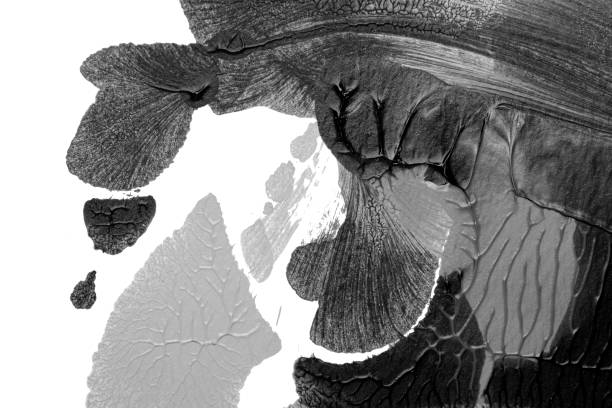 istock black white abstract acrylic painting color texture on white paper background by using rorschach inkblot method 1427551485