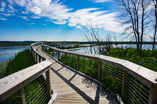 Boardwalk over Marsh Nature Preserve