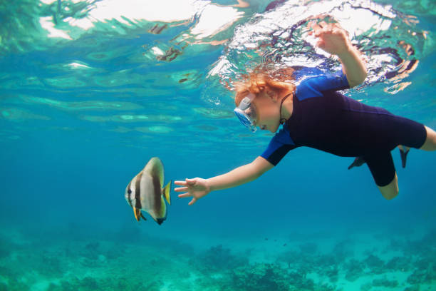 스노클링 마스크를 착용 한 어린이는 열대 물고기와 함께 수중 다이빙을합니다. - phuket province thailand tourist asia 뉴스 사진 이미지