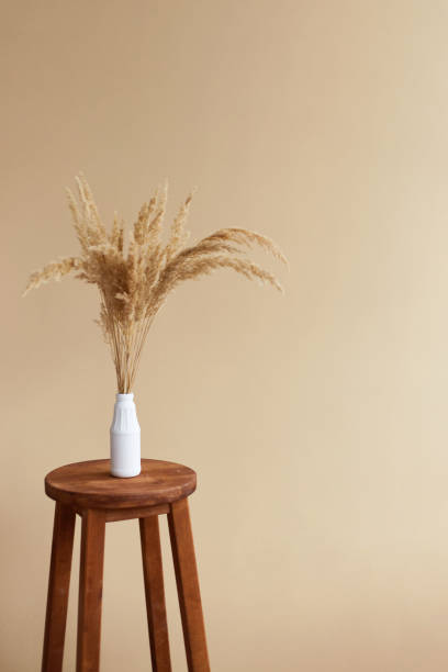 istock Branches of pampas grass in vase on beige background. interior decoration. copy space 1427556827