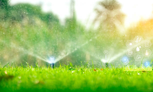 Automatic lawn sprinkler watering green grass and icon of smart farming concept. Smart agriculture with modern technology concept. Sustainable agriculture. Precision agriculture. Climate monitoring. stock photo